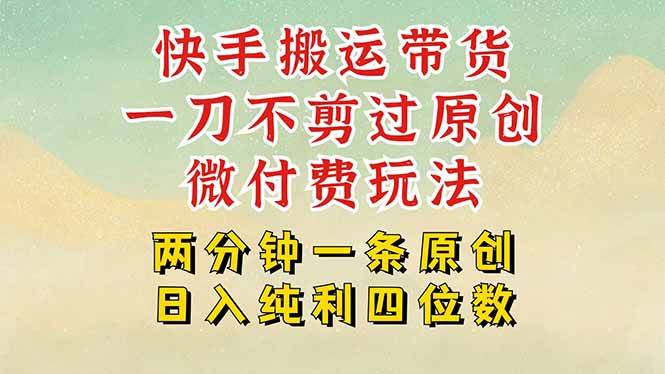 快手黑科技搬运带货,一刀不剪过原创,微付费投流玩法,轻松日入四位数...-樵渔匹