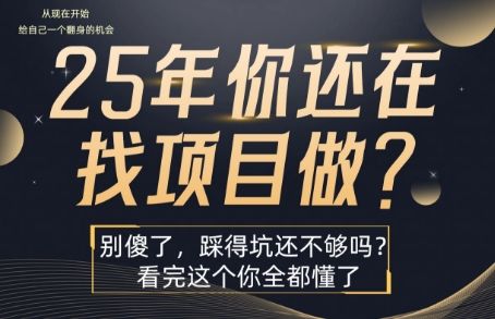 25年，你还在疯狂的找项目吗？别傻了，看完这个你都懂了【揭秘】-樵渔匹