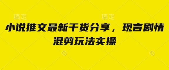 小说推文最新干货分享,现言剧情混剪玩法实操-樵渔匹