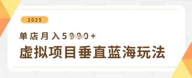 虚拟项目垂直玩法,实现单店月入5k+-樵渔匹