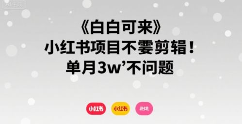 小白可来 小红书项目不需要剪辑 单月3w不是问题-樵渔匹