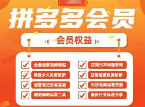2025拼多多运营实战课，40节全流程教学，覆盖拼多多运营全链路-樵渔匹