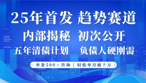 2025年首次公开,真正的事业型赛道,客咨不断,单月轻松破W-樵渔匹