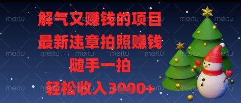 解气又挣钱的项目，最新违章拍照挣钱，随手一拍，轻松收入多张【揭秘】-樵渔匹