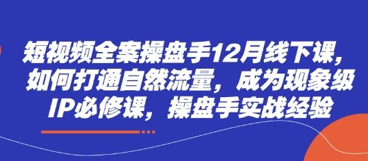 短视频全案操盘手12月线下课,如何打通自然流量,成为现象级IP必修课,操盘手实战经验-樵渔匹