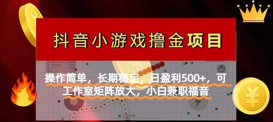【抖音小游戏发行人计划项目】操作简单，长期稳定，日盈利500+，可工作…-樵渔匹