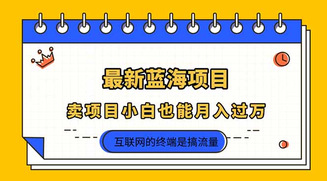 2025年最新蓝海项目,卖项目小白也能月入过万-樵渔匹