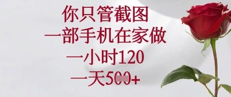 你只管截图,一部手机在家做,苹果安卓都可以,一小时120,一天5张+【揭秘】-樵渔匹