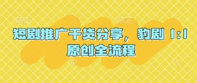 短剧推广干货分享，豹剧 1:1原创全流程-樵渔匹