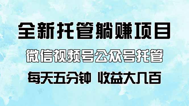 全新托管躺赚项目,微信视频号公众号托管代运营,每天五分钟,收益大几百-樵渔匹