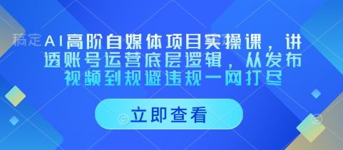 AI高阶自媒体项目实操课，讲透账号运营底层逻辑，从发布视频到规避违规一网打尽-樵渔匹