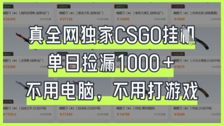真全网独家CSGO挂G,单日捡漏1k+【揭秘】-樵渔匹