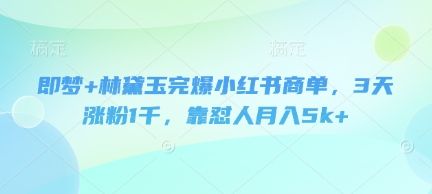 即梦+林黛玉完爆小红书商单，3天涨粉1千，靠怼人月入5k+-樵渔匹