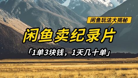 闲鱼卖纪录片1单3块钱,1天几十单,项目稳定有潜力-樵渔匹