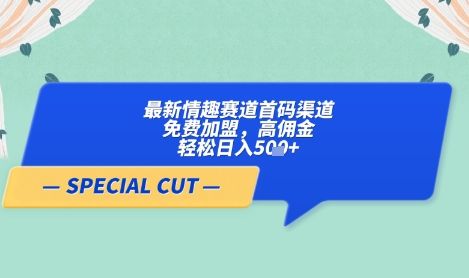 【轻云】最新情趣赛道首码渠道,免费加盟,高佣金,轻松日入5张+