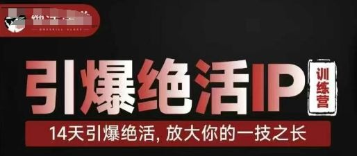 引爆绝活IP训练营,14天引爆绝活,放大你的一技之长-樵渔匹