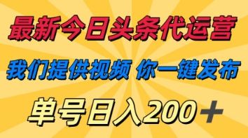 最新今日头条代运营,我们提供视频,你一键发布,单号日入200+【揭秘】-樵渔匹