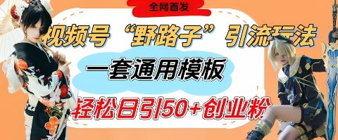 视频号“野路子”玩法，评论区疯狂截流，一套模板单日单号引流50+创业粉-樵渔匹