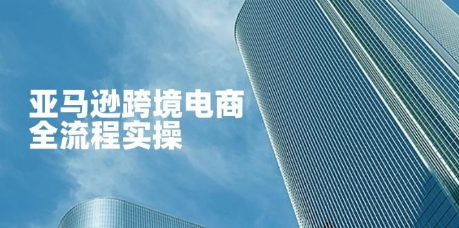 亚马逊跨境电商全流程实操,教你从零开始,掌握店铺运营与广告技巧-樵渔匹
