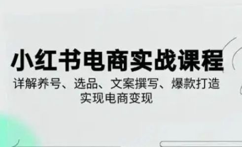 小红书从0-1实操课(2023-2025),详解养号、选品、文案撰写、爆款打造实现电商变现-樵渔匹