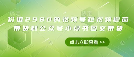价值2980的视频号短视频橱窗带货和公众号小绿书图文带货-樵渔匹