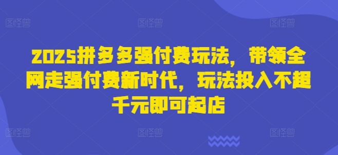 2025拼多多强付费玩法，带领全网走强付费新时代，玩法投入不超千元即可起店-樵渔匹