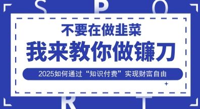 韭菜生涯终结者，我来教你做镰刀，2025如何通过“知识付费”实现财F自由【揭秘】-樵渔匹