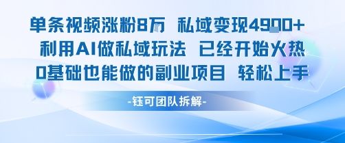 单条视频私域变现4.9k+利用AI做私域玩法 已经开始火热0基础也能做的副业项目轻松上手-樵渔匹
