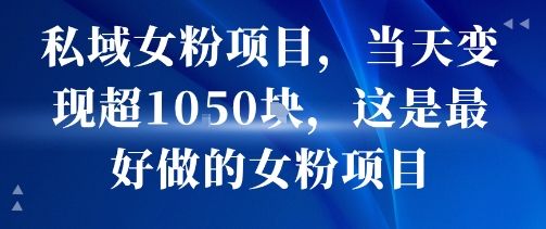 私域女粉项目,当天变现超1k,这是最好做的女粉项目,可放大操作-樵渔匹