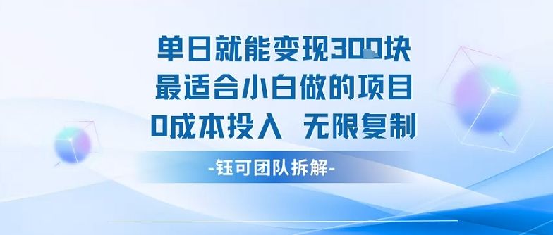 单日就能变现3张最适合小白做的项目0成本投入 无限复制-樵渔匹