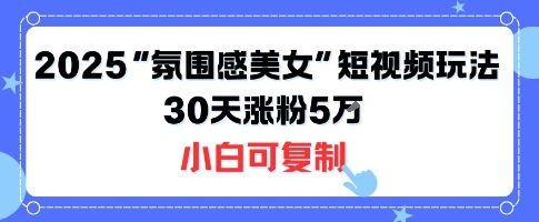不露脸也能火！2025“氛围感美女”短视频玩法，30天涨粉5W小白可复制-樵渔匹