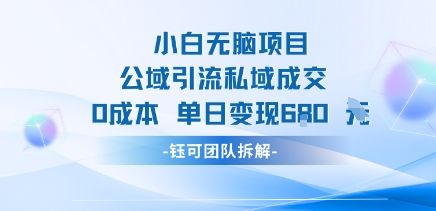 小白无脑项目公域引流私域成交0成本单日变现680米-樵渔匹