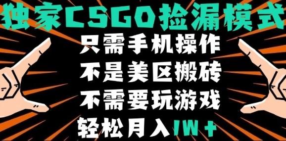 CSGO自动捡漏项目,最新独家玩法,不是美区搬砖,不需要了解和玩游戏,新手小白轻松月入1W+【揭秘】-樵渔匹