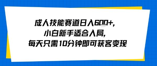 成人技能赛道日入多张，小白新手适合入局，每天只需10分钟即可获客变现-樵渔匹