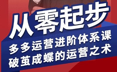 拼多多运营进阶系统课，从零起步，多多运营进阶体系课，破茧成蝶的运营之术-樵渔匹