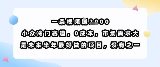 一条视频挣1k,小众冷门赛道,0成本,市场需求大,是未来半年最好做的项目,没有之一-樵渔匹