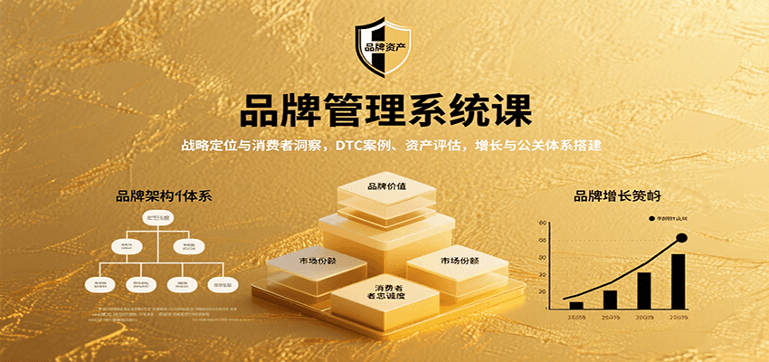 品牌管理系统课:战略定位与消费者洞察,DTC案例、资产评估,增长与公关体系搭建-樵渔匹