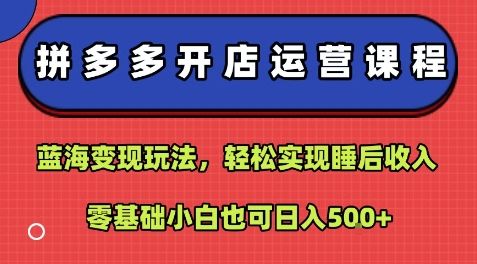 拼多多开店运营课程:蓝海变现玩法,轻松实现睡后收入,零基础小白也可日入5张-樵渔匹