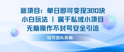 新项目单日即可变现3张的小白玩法无脑操作不封号安全引流-樵渔匹