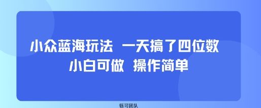 小众蓝海玩法 一天搞了四位数 小白可做 操作简单-樵渔匹