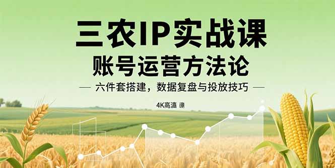 三农IP实战课:账号运营方法论,六件套搭建,数据复盘与投放技巧-樵渔匹