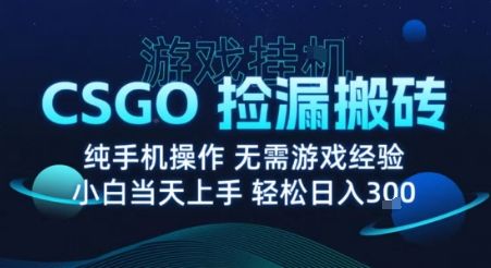 8月最新游戏搬砖，CSGO纯挂G，不需要玩游戏，实现真挂G，月入1W+【揭秘】-樵渔匹