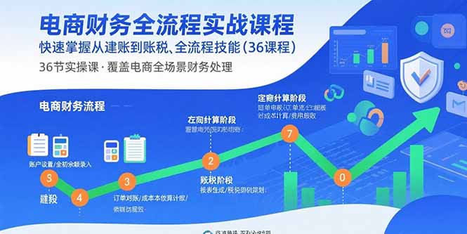 电商财务全流程实战课程:快速掌握从建账到报税的全流程技能(36节课-樵渔匹