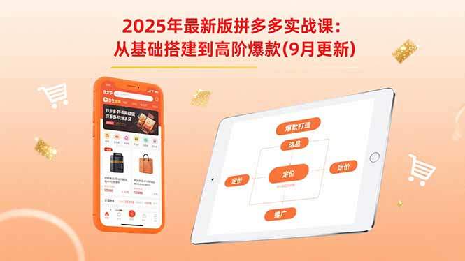 2025年最新版拼多多实战课:从基础搭建到高阶爆款(9月更新-樵渔匹