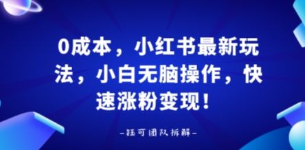 0成本，小红书最新玩法，小白无脑操作，快速涨粉变现-樵渔匹