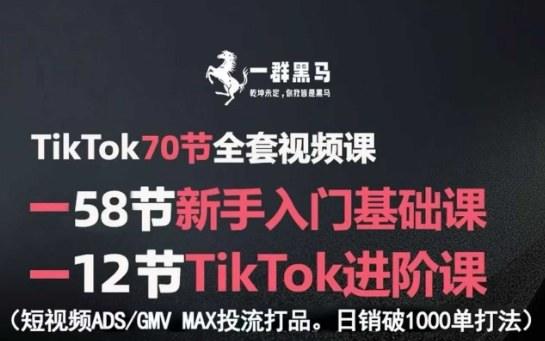 TikTok全套视频课，新手入门+进阶课，短视频ADS-GMV MAX投流打品，日销破1000单打法-樵渔匹