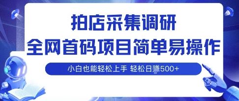 拍店采集调研，全网首码项目，简单易操作， 小白也能轻松上手，多账号操作，轻松日入5张【揭秘】-樵渔匹
