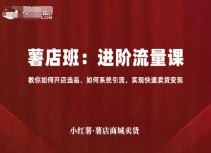 小红薯薯店商城卖货,进阶流量课,教你如何开店选品、如何系统引流,实现快速卖货变现-樵渔匹