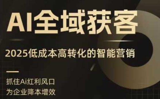 AI全域获客实训营，2025低成本高转化的智能营销，精准找客，高效营销-樵渔匹