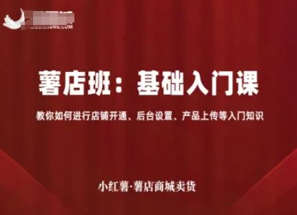 小红薯薯店商城卖货，基础入门课，教你如何进行店铺开通、后台设置、产品上传等入门知识-樵渔匹